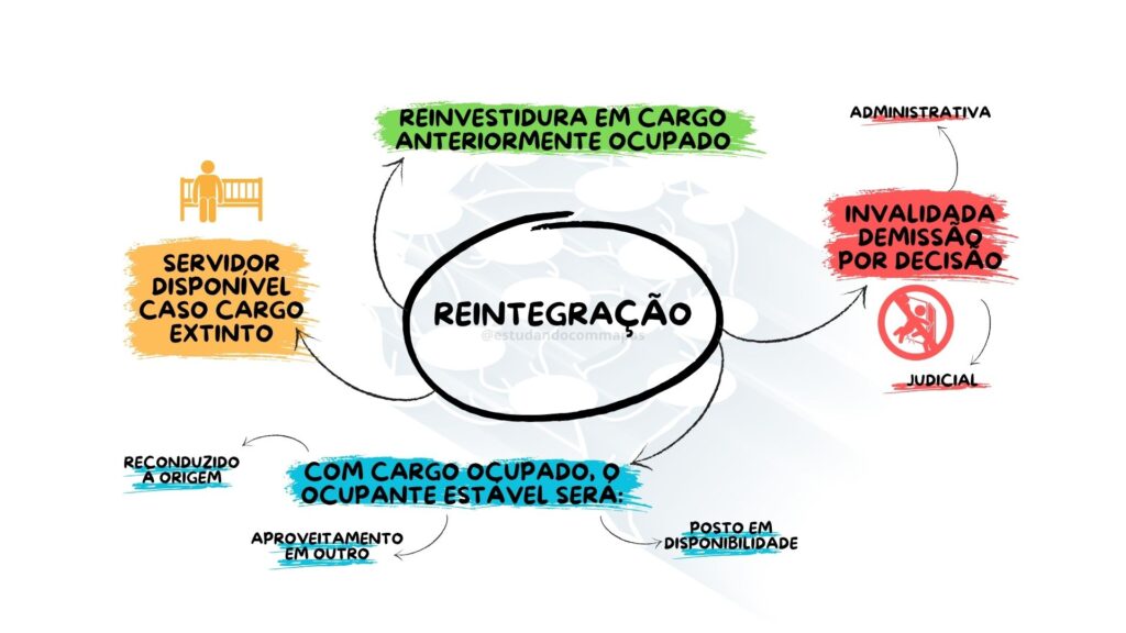 mapa mental resumindo reintragração