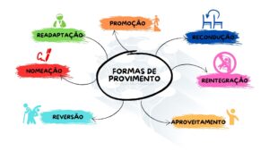 mapa mental resumindo formas de provimento